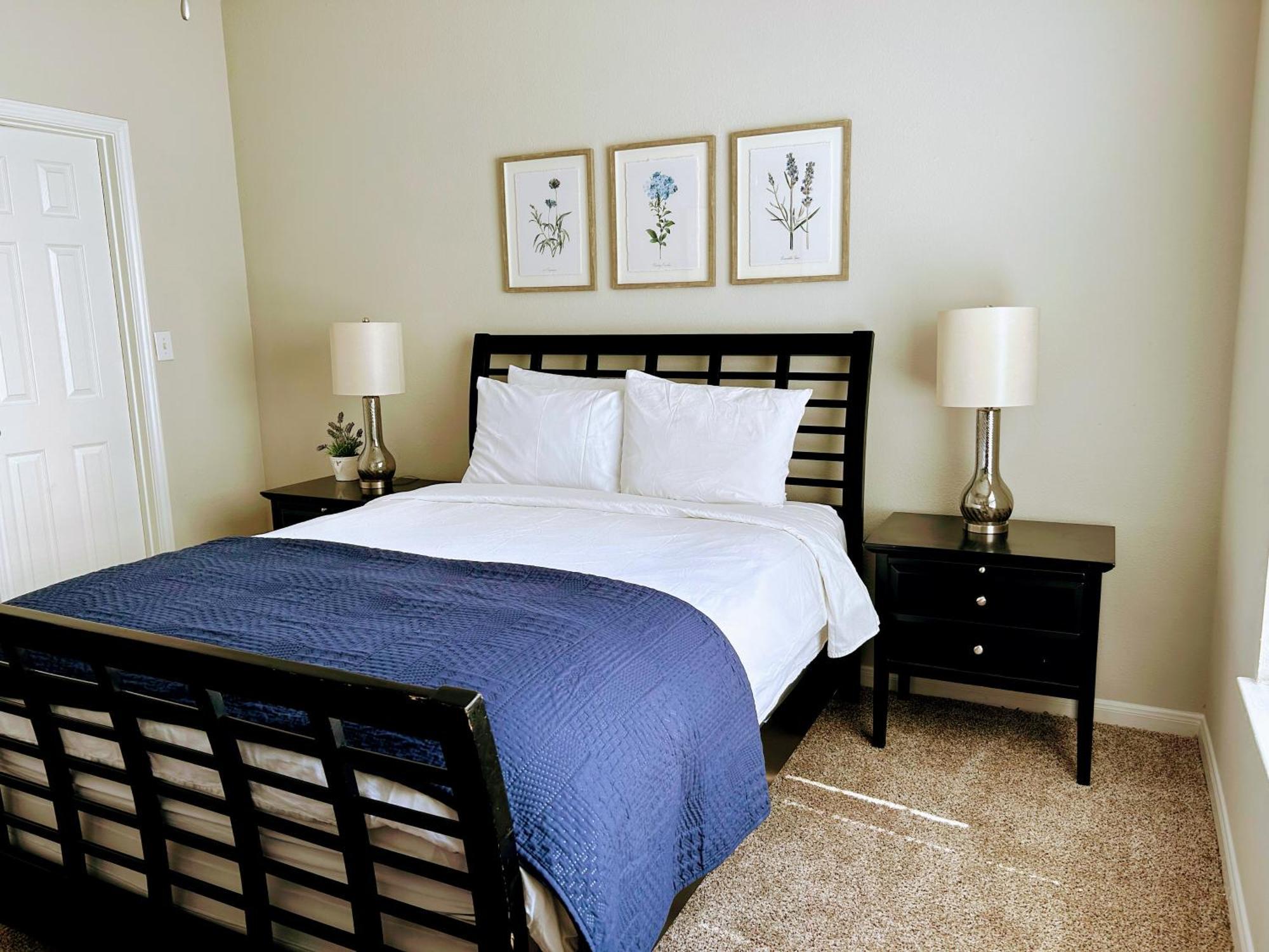 Hidden Gem At Med Center 2Br & 2Ba Apartment Houston Eksteriør bilde