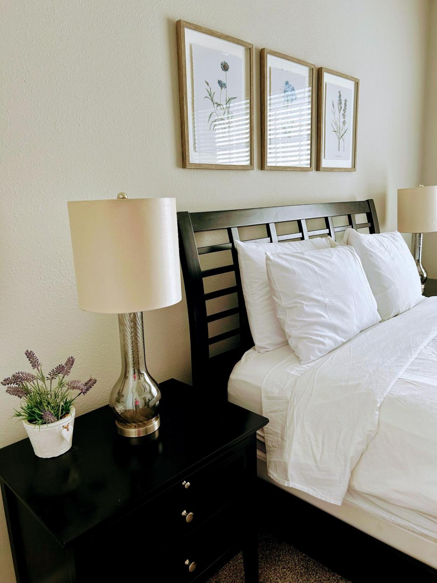 Hidden Gem At Med Center 2Br & 2Ba Apartment Houston Eksteriør bilde